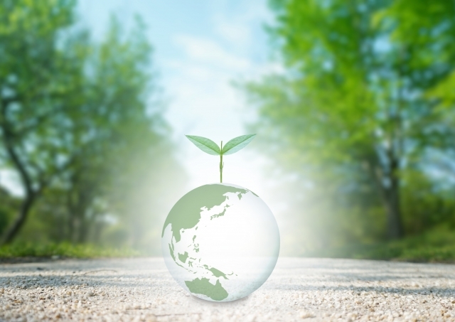 行政書士あおき事務所